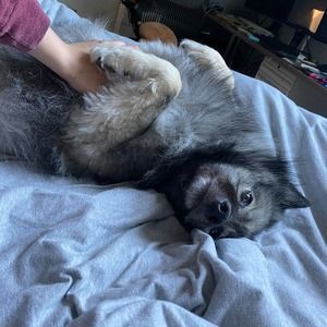 Meet your Posher, Kalea